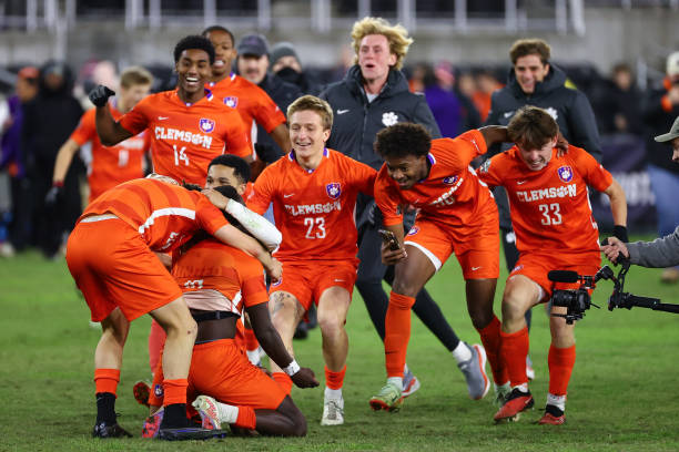 他们以稳健 他们以稳健