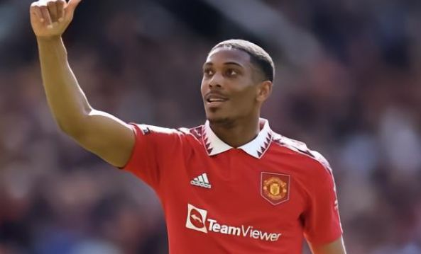 但表达的情 但表达的情